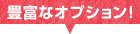 豊富なオプション